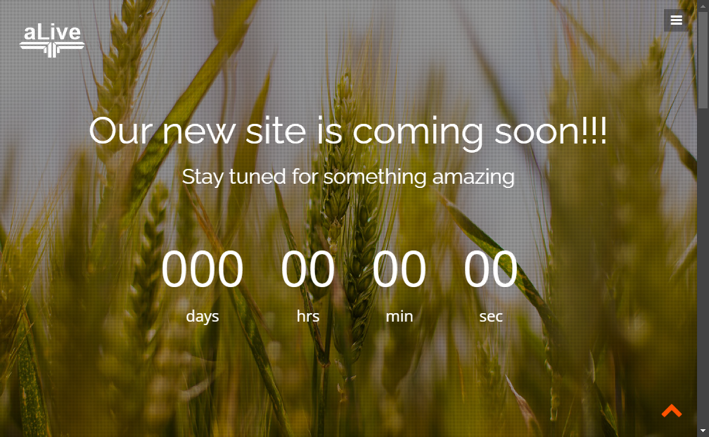 Preview alive-responsive-coming-soon-template