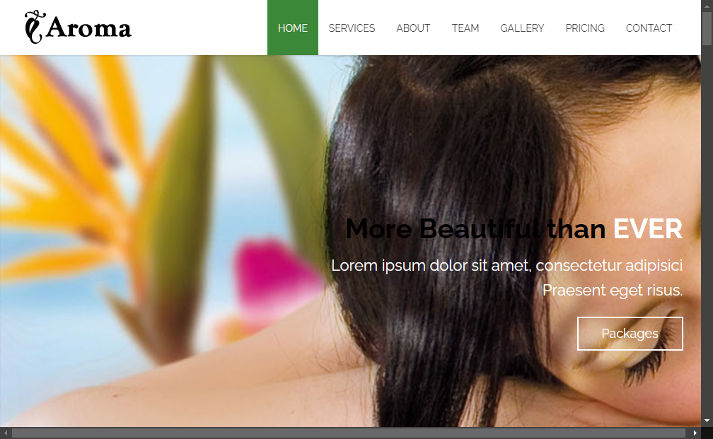 Preview aroma-beauty-and-spa-responsive-bootstrap-template