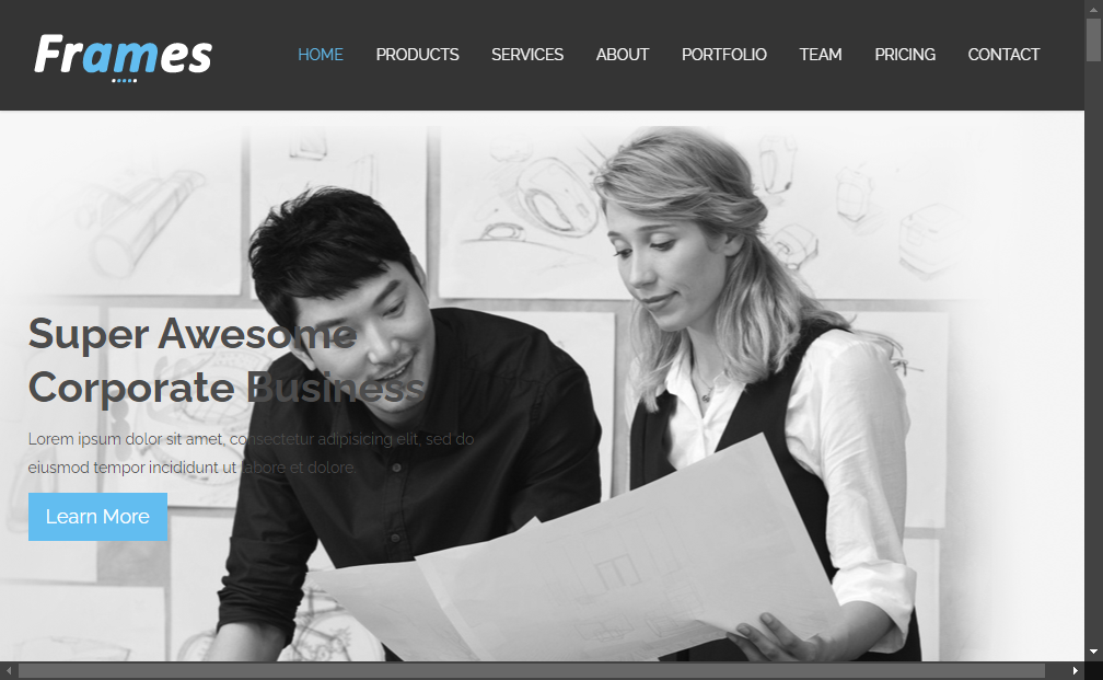 Preview frames-corporate-bootstrap-free-html5-template