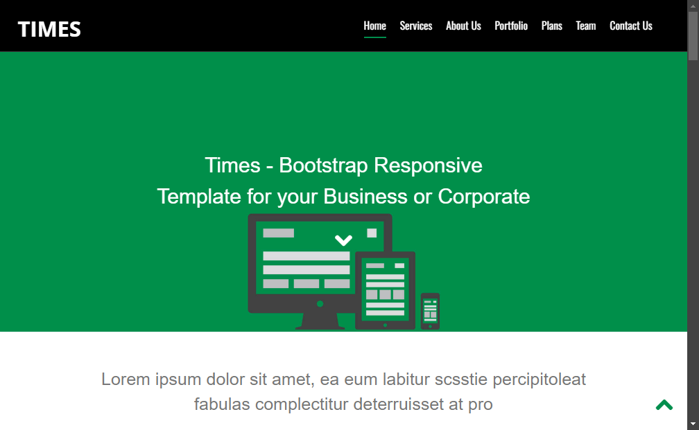 Preview times-corporate-portfolio-bootstrap-responsive-web-template